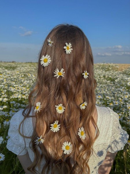 Фотосессия с ромашками