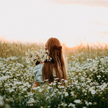 Фотосессия в ромашках