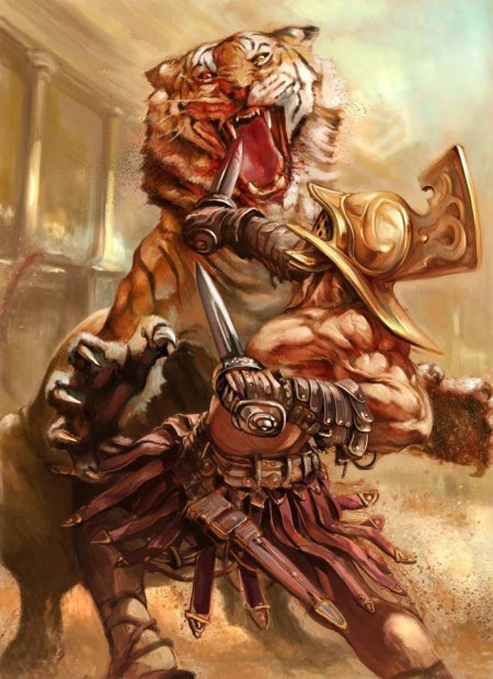 Тигр Гальский Гладиатор