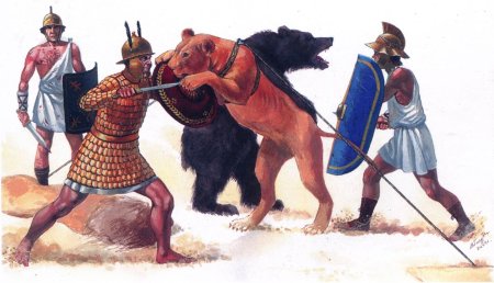 Венатор гладиатор