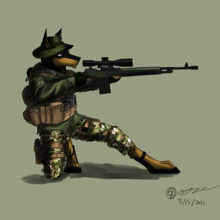 Доберман наемник сталкер