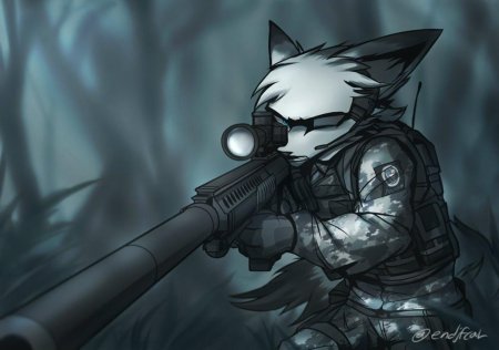 Фарри снайпер