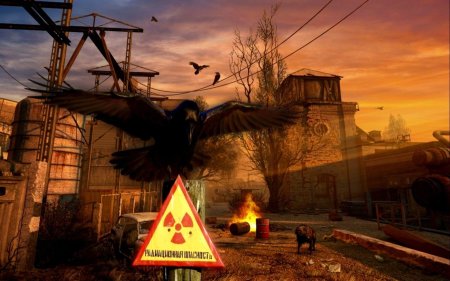 ЧАЭС сталкер