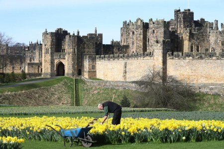 Замок Алник Гарри