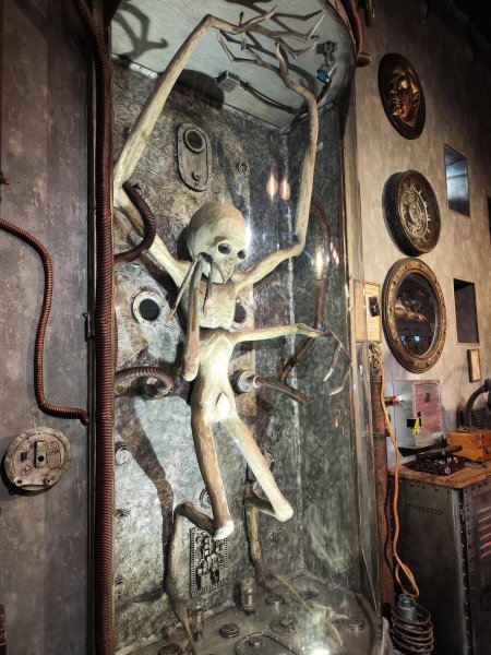 Музей инопланетной жизни в Санкт-Петербурге