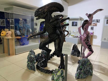 Музей Фелицына Краснодар