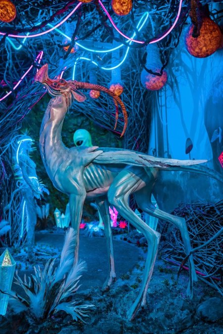 Галакториум Санкт-Петербург музей