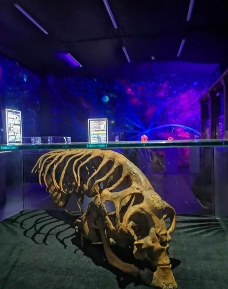 Музей инопланетян в Москве