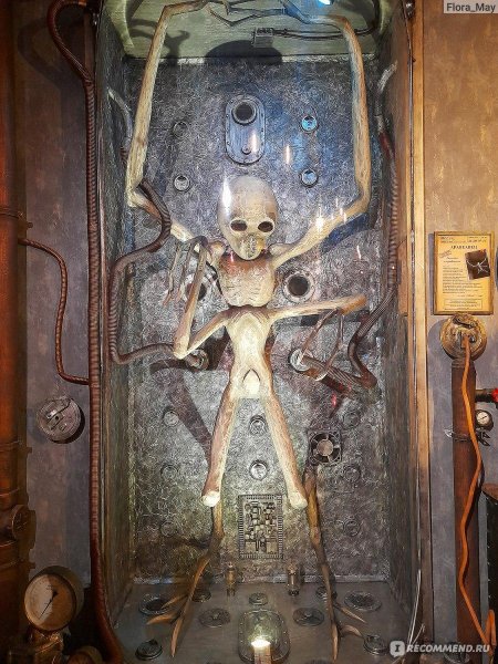 Музей инопланетян в Санкт-Петербурге