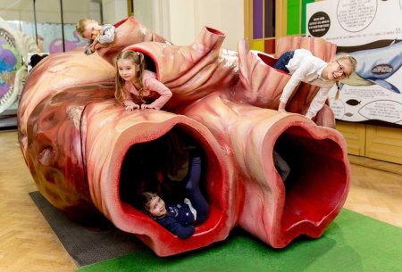 Музей рекордов и фактов Титикака