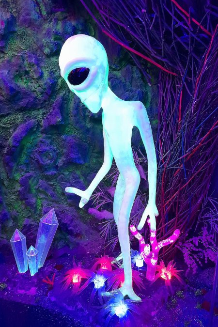 Галакториум Санкт-Петербург музей