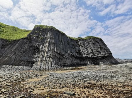 Мыс столбчатый