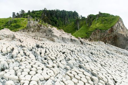 Мыс столбчатый Кунашир