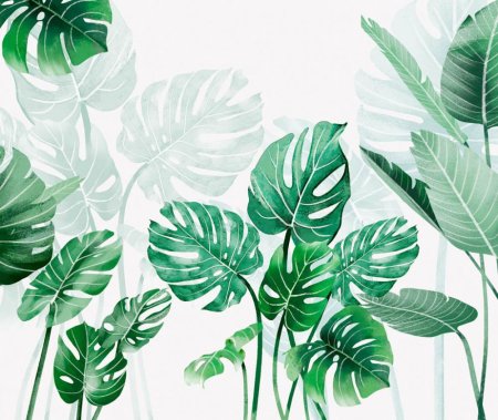 Cercom тропические листья