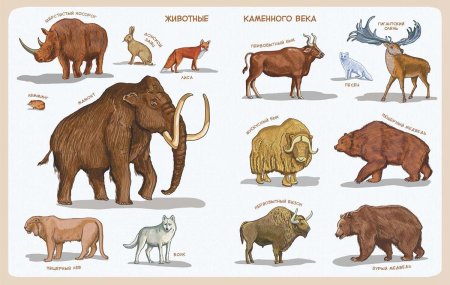 Качур каменный век