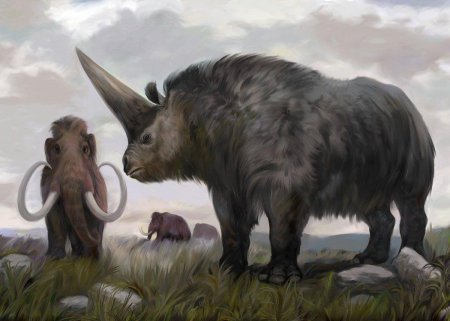 Эласмотерий Сибирский Единорог