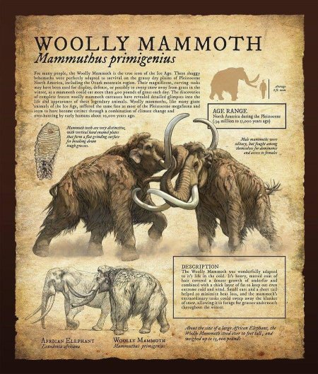 Шерстистый мамонт (Woolly Mammoth)
