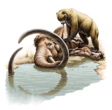 Арктодус медведь против Арктодуса