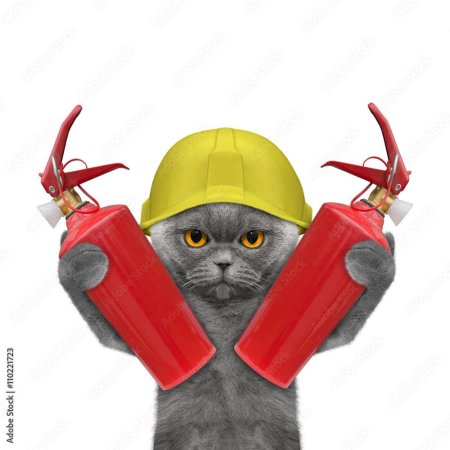 Кот пожарный