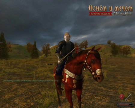 Mount &amp; Blade: огнём и мечом