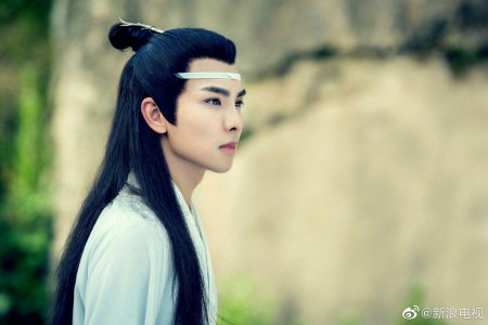 Неукротимый Повелитель Чэнь Цин Лань Сычжуй