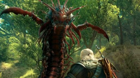 Сколопендроморф Ведьмак 3