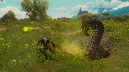 Сколопендроморф Ведьмак 3