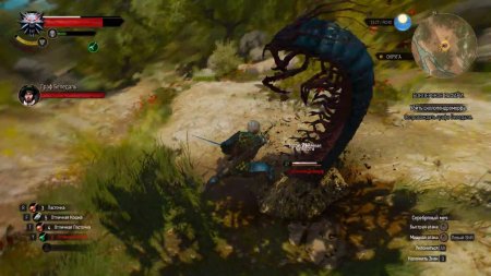 Сколопендроморф Ведьмак 3