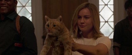 Флеркин Капитан Марвел