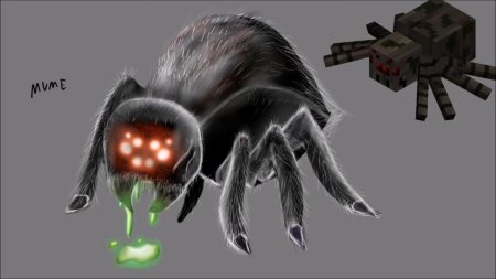 Паук из МАЙНКРАФТА В реальной жизни