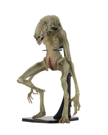 Фигурки NECA Aliens