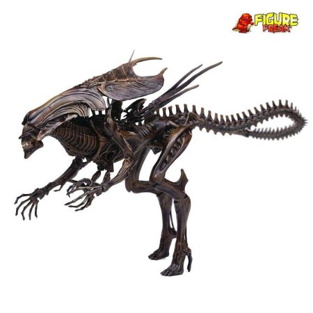 Королева чужих,Ксеноморф.