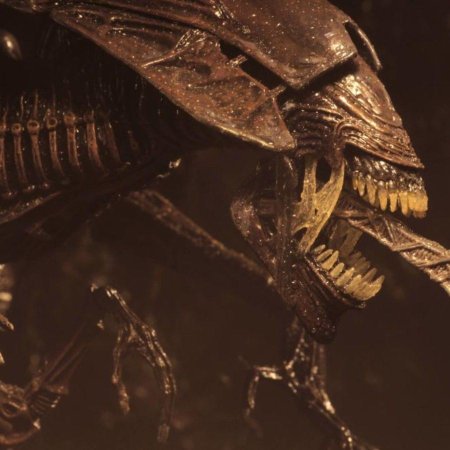 Чужой 4 Воскрешение Королева