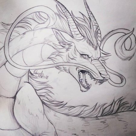 Дракон рисунок карандашом