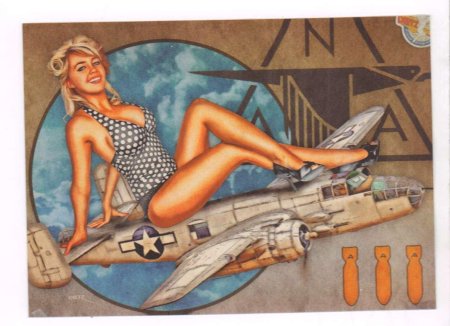 Пин ап самолетах ВВС США