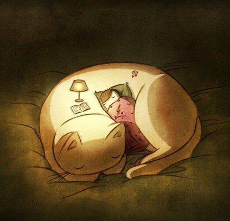 Свернуться в клубочек и спать