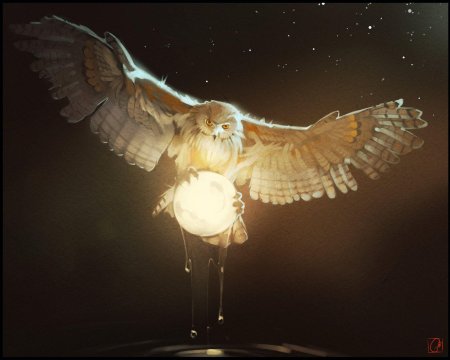 Грифон сипуха