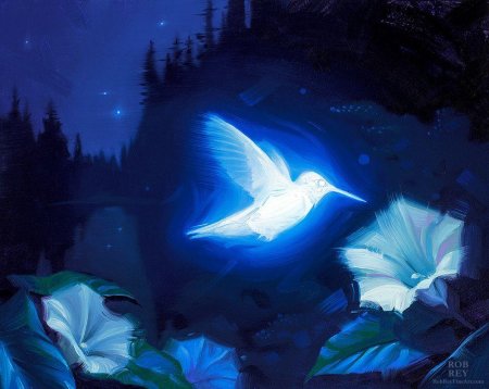 Сказочная ночь