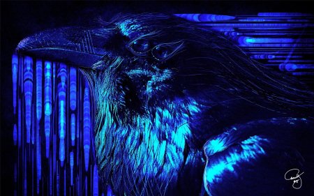 Ворон в ультрафиолете