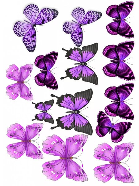 Бабочки сиреневые фотопечать