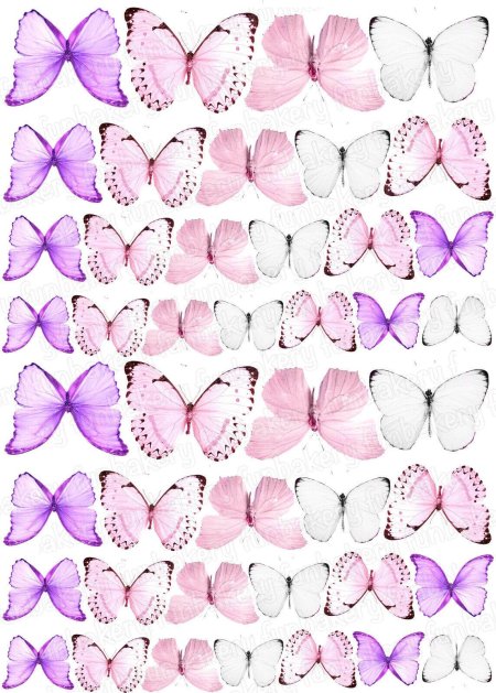 Бабочки розовые