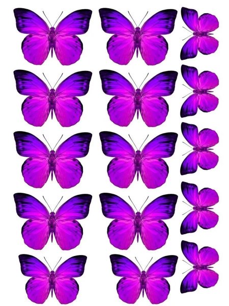 Бабочки картинки