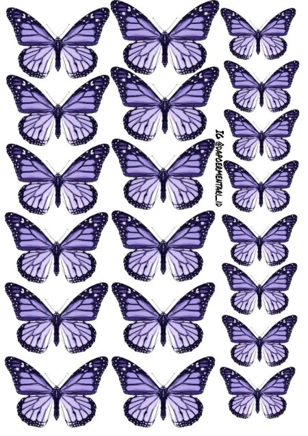 Шаблоны сиреневых бабочек