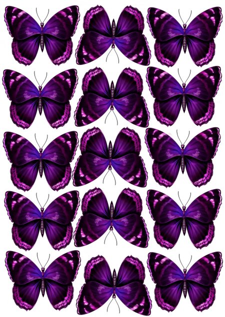 Шаблон бабочки