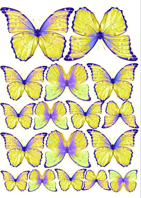 Бумажные бабочки