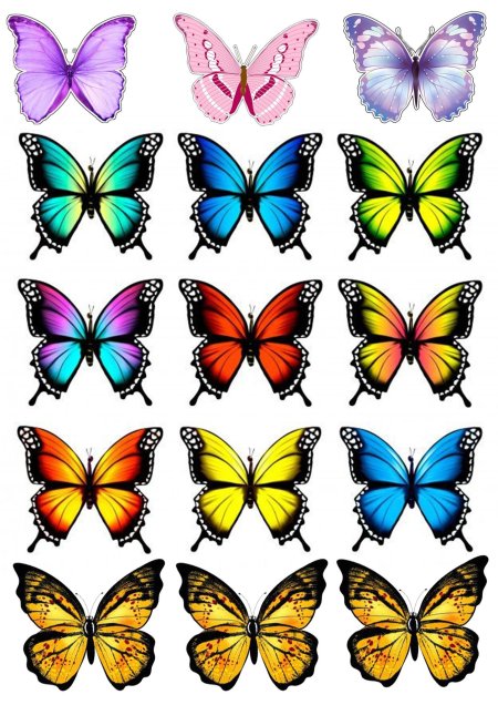 Бабочки цветные