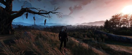 Велен Ведьмак 3