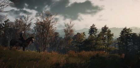 Велен Ведьмак 3