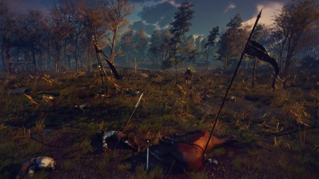 Ведьмак 3 поле битвы