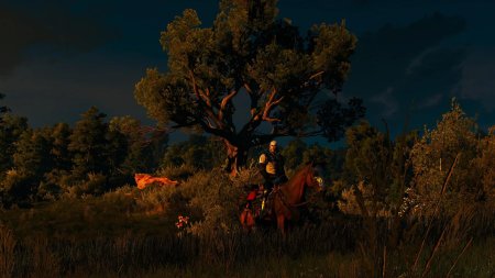 Велен Ведьмак 3 пейзажи